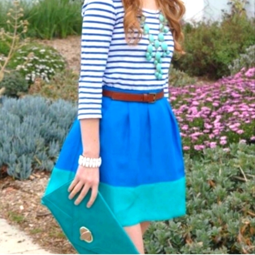 J.Crew Factory Pleated Colorblock Skirt